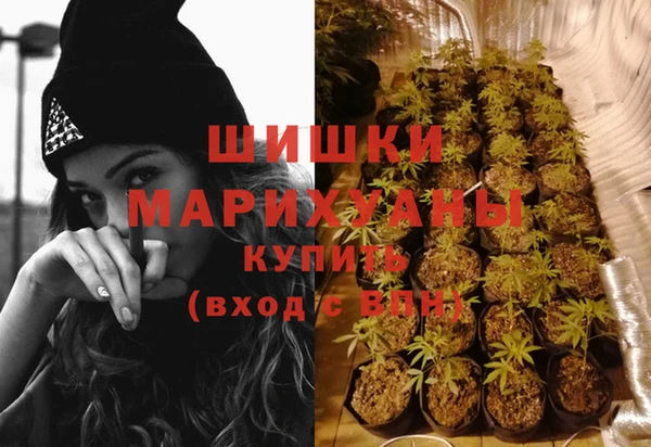шишки Алексин