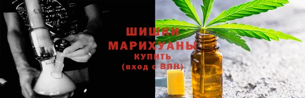шишки Алексин