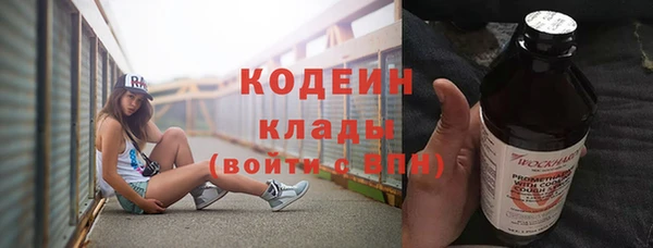 хмурый Алзамай
