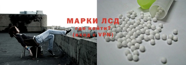 хмурый Алзамай