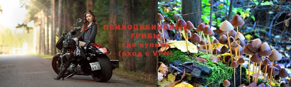 эйфоретик Осташков