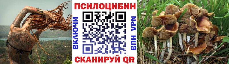 Псилоцибиновые грибы MAGIC MUSHROOMS Гурьевск