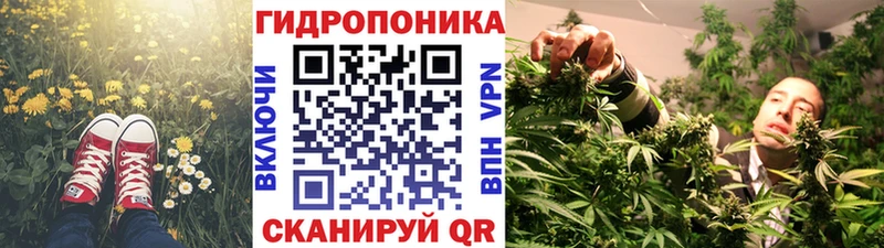 Каннабис Amnesia  где купить   Гурьевск 